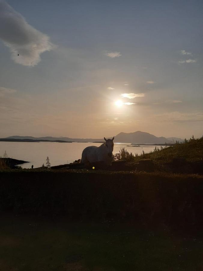 The Olde Castle B&B Ренвайл Экстерьер фото